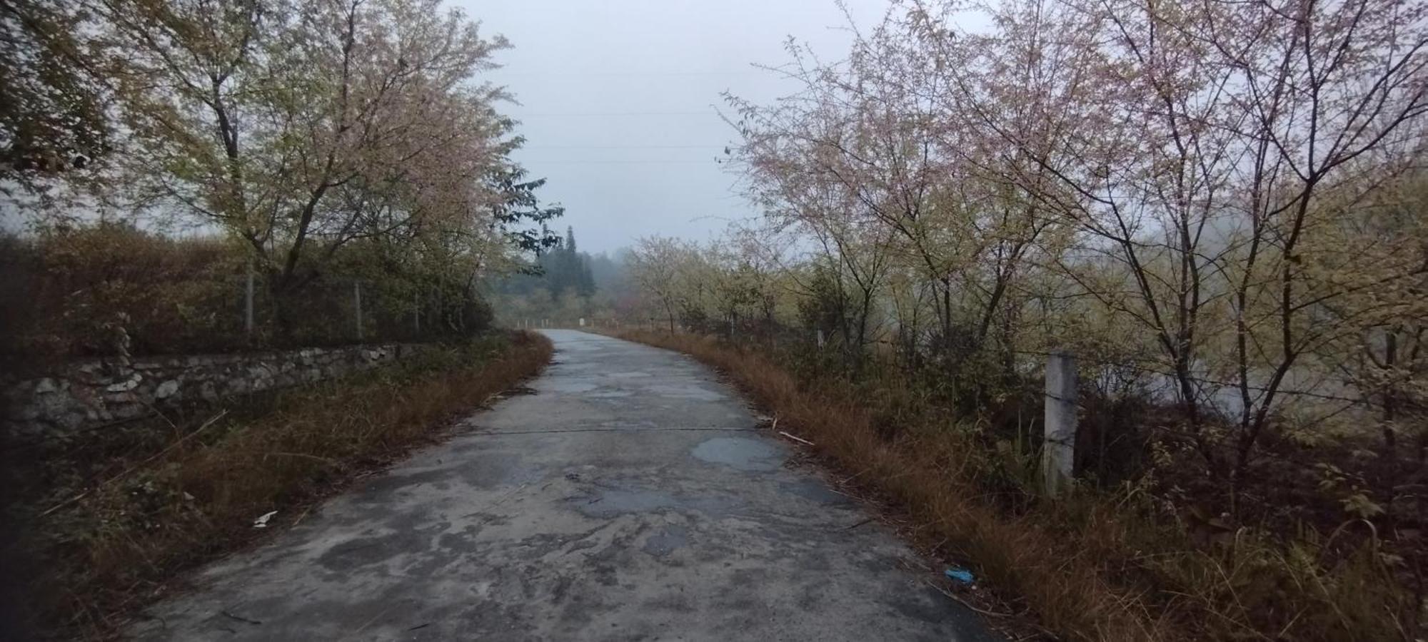 Huy Man Homestay Ha Giang Dış mekan fotoğraf