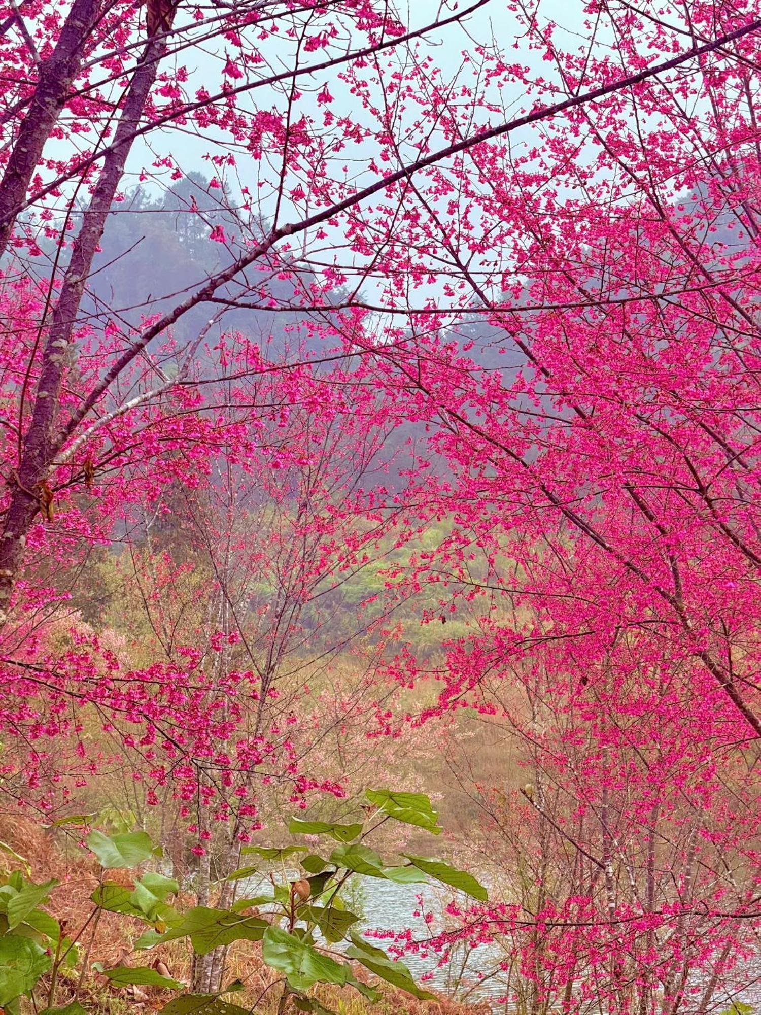 Huy Man Homestay Ha Giang Dış mekan fotoğraf